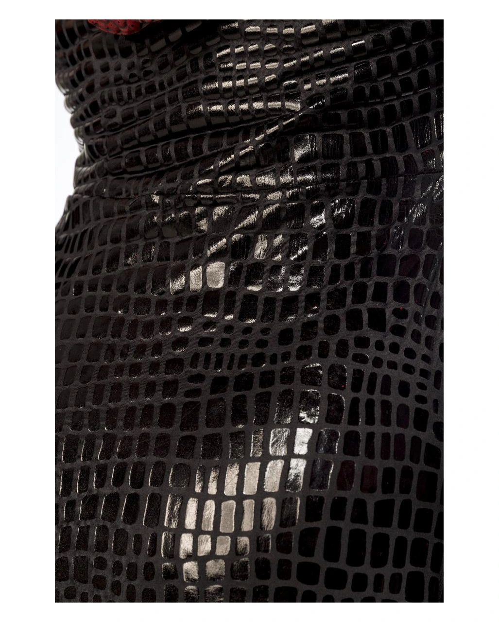 Dragon Lady Kostüm Mit Flügel 2 Dragon Lady Kostüm Mit Flügel – Bild 2